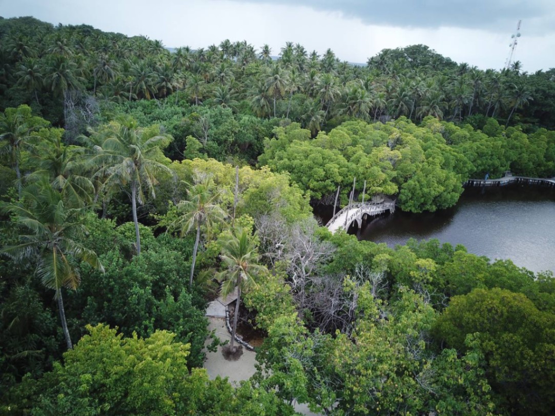 Cycling & Walking Trails: Explore the Heart of The Mangrove Island