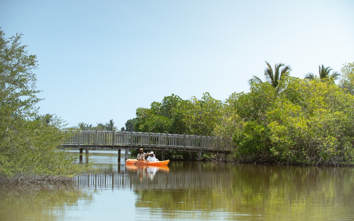 Kayaking & Paddleboarding: A Journey Through Nature’s Reserve